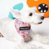 Touchdog 'Bad-to-the-Bone' Star Patterned Fashionable Velcro Bandana